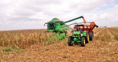 Plan de Siembra Comunal impulsa producción de maíz y tubérculos en Bolívar