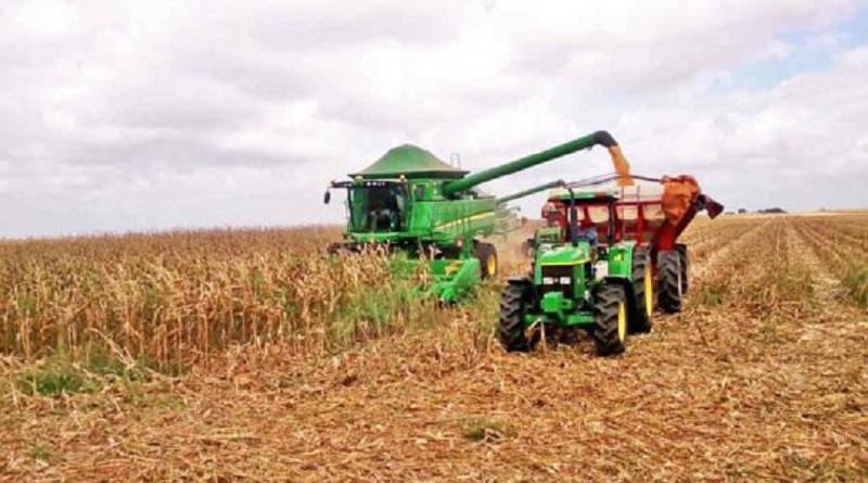 Plan de Siembra Comunal impulsa producción de maíz y tubérculos en Bolívar