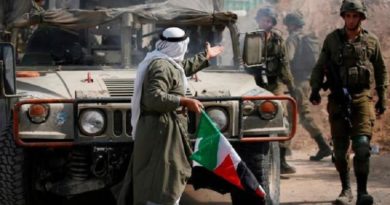 Palestina agradece apoyo del Brics en lucha contra ocupación israelí