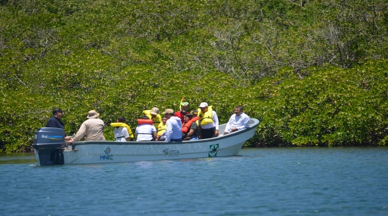 Liberados 500 caballitos de mar en el Parque Nacional Mochima