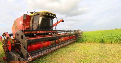 Agricultores de Monagas avanzan en la producción masiva de soya