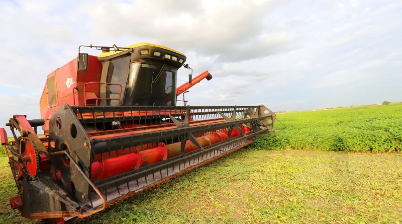 Agricultores de Monagas avanzan en la producción masiva de soya
