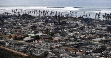 Demandan a compañía eléctrica por posible negligencia en incendio de Hawái