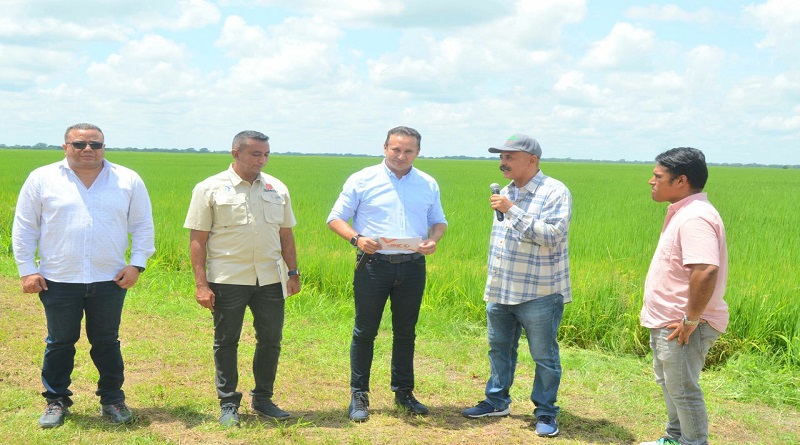 Ciclo de Siembra Invierno 2023 alcanzar proyección de más 26 mil hectáreas