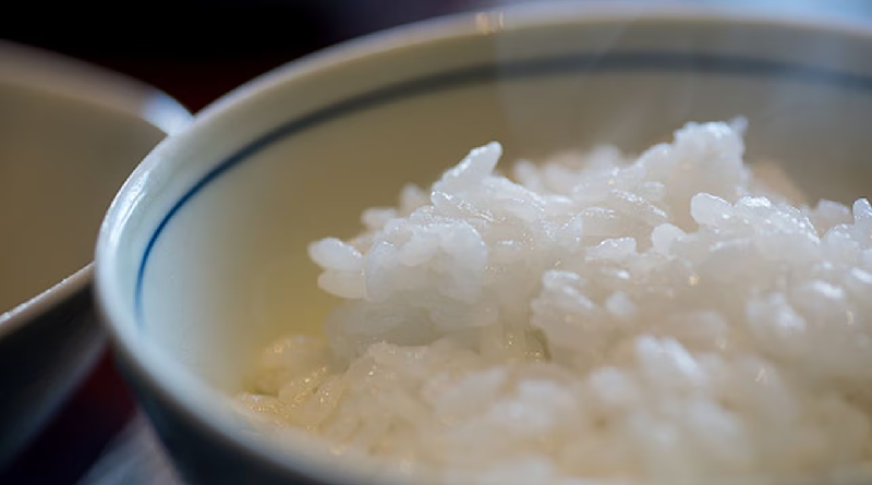 ¿Comer arroz? Esto es lo que debe saber