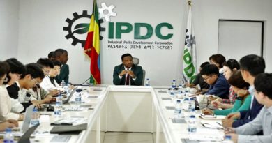 Académicos saludan desarrollo de industrialización en Etiopía