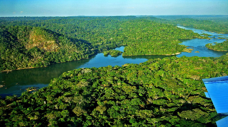 Josué Lorca: Unidos evitaremos que los imperios se apoderen de la Amazonía