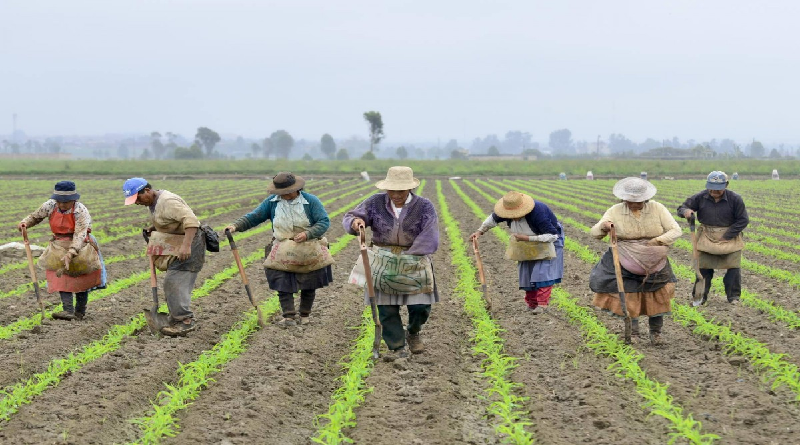 Bolivia conmemora inicio de proceso de Reforma Agraria