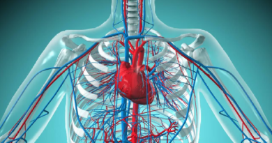 Estos son los malos hábitos que afectan la salud cardiovascular
