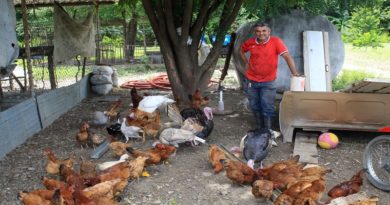 Fortalecen CLAP Productivos en el estado Aragua