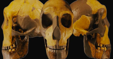 Descubren cráneo antiguo que no tiene parentesco al cuerpo humano en China
