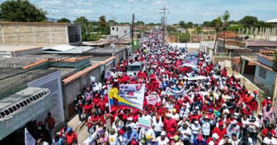 Fuerzas revolucionarias se mantienen en pie de lucha por la defensa de la patria