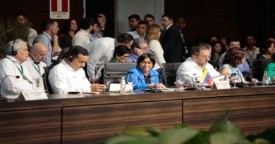 Venezuela propone crear una gran fuerza de tarea para rescate de la Amazonía