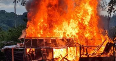 FANB destruye seis estructuras logísticas en Reserva Forestal de Imataca en Bolívar