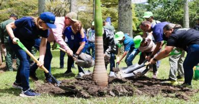 Realizan reforestación de árboles en el Parque Generalísimo Francisco de Miranda
