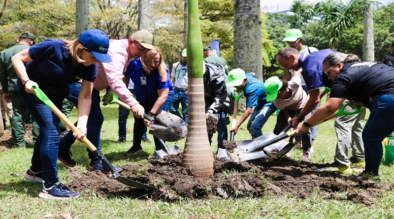 Realizan reforestación de árboles en el Parque Generalísimo Francisco de Miranda