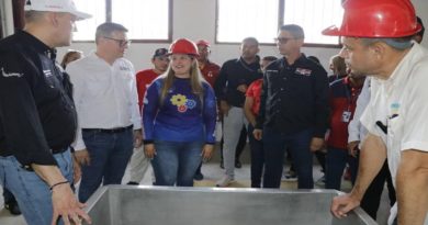Ministro Abreu anuncia que Planta Madre Wuanaguanare está cien por ciento operativa