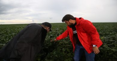 Producción de soya supera las cuatro mil hectáreas en Agropecuaria EFA en Monagas
