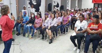Instalan mesas técnicas Órgano Superior del Plan Parto Humanizado en Cojedes