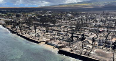 Se eleva a 99 la cifra de fallecidos por incendios en Hawái
