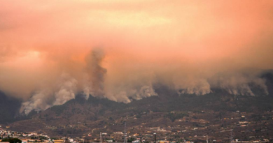 Evacuados por incendios forestales en Tenerife podrían ser más de 26 mil
