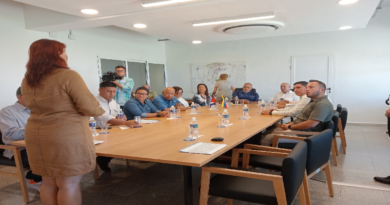 Diosdado Cabello se reúne con directora de Zona Especial de Desarrollo Mariel