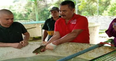 Evalúan estrategias para desarrollo del Plan de Producción de Trucha en Mérida
