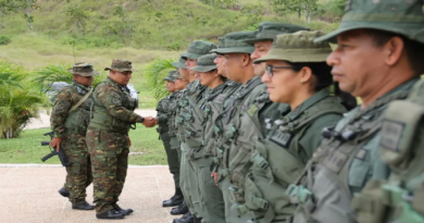FANB se despliega en los Andes, llanos y centro para defender la patria