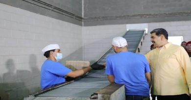 Proyectan llevar el rebaño de cabras a 10 mil animales para 2025