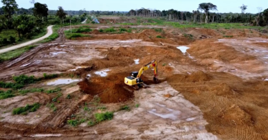 Planta Piscícola presenta un avance del 22,9% en la región amazónica de Bolivia
