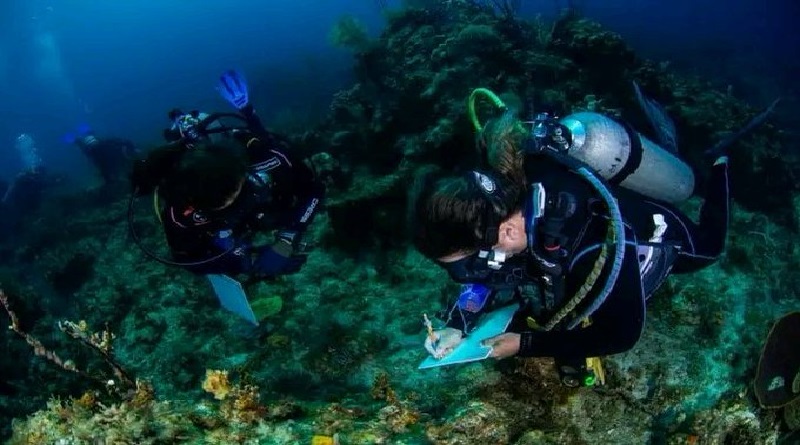Científicos confirman presencia de zonas coralinas en el noreste de Cuba