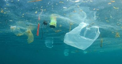 Registran aumento de temperatura del mar ocasionada por crisis climática mundial