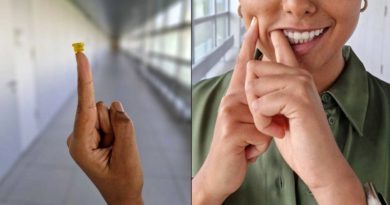 Presentan parches inspirados en tentáculos del pulpo para administrar fármacos