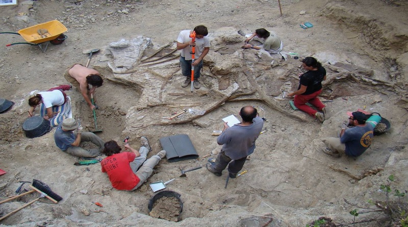 Científicos hallan a “Garumbatitan”, el nuevo dinosaurio gigante de Europa