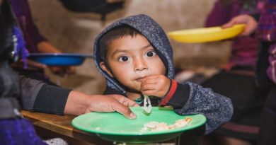 Desnutrición durante la primera etapa de vida puede afectar el crecimiento