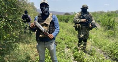 Estudio concluye que los cárteles de droga son el quinto empleador en México