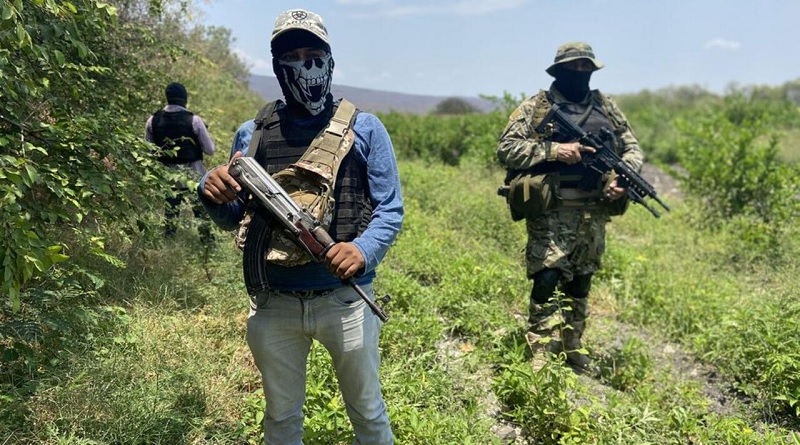 Estudio concluye que los cárteles de droga son el quinto empleador en México