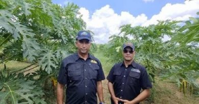 Guárico se consolida como pionero en la producción de frutales
