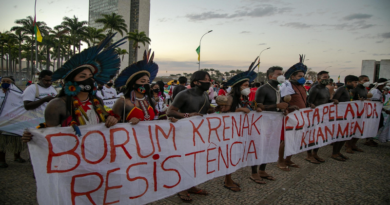 Supremo de Brasil vota a favor de tierras indígenas en histórico juicio