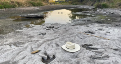 Descubren 70 huellas de dinosaurios por sequía en Texas