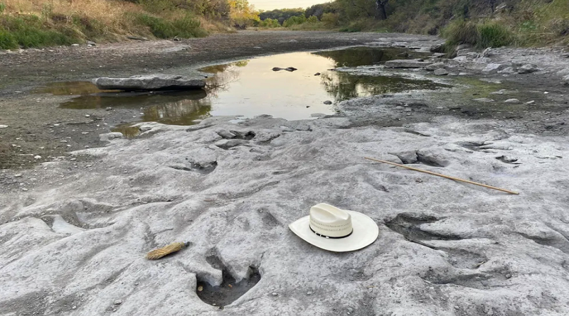 Descubren 70 huellas de dinosaurios por sequía en Texas
