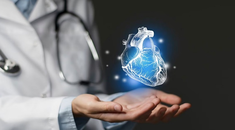 Día Mundial del Corazón: los mejores hábitos para cuidarlo y prevenir un infarto