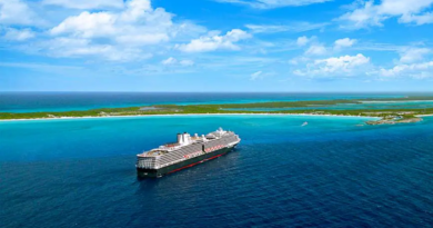 Venezuela traza estrategias para activar cruceros en Alemania
