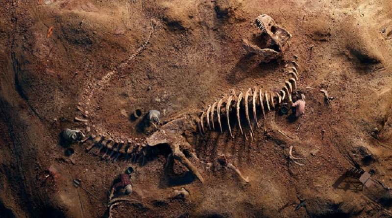 Hallan fósiles de dinosaurios al norte de China