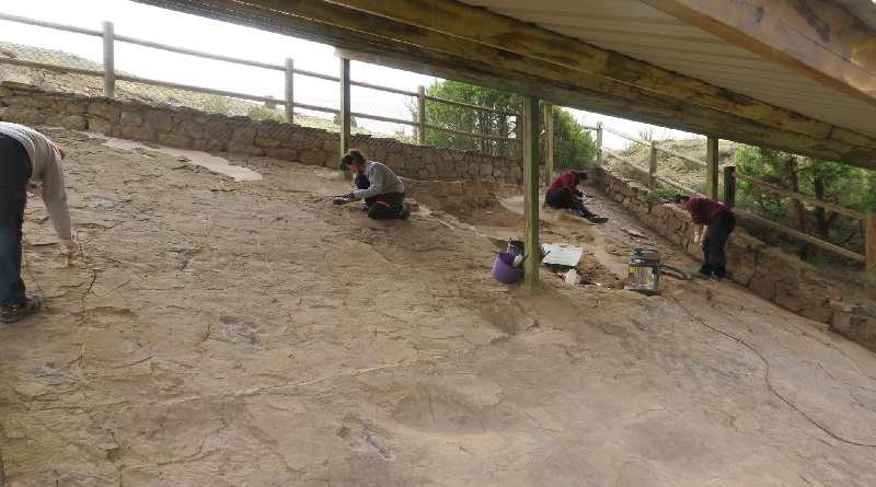 Estudio revela influencia del ambiente en el modo de caminar de los dinosaurios