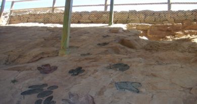 Estudio revela influencia del ambiente en el modo de caminar de los dinosaurios