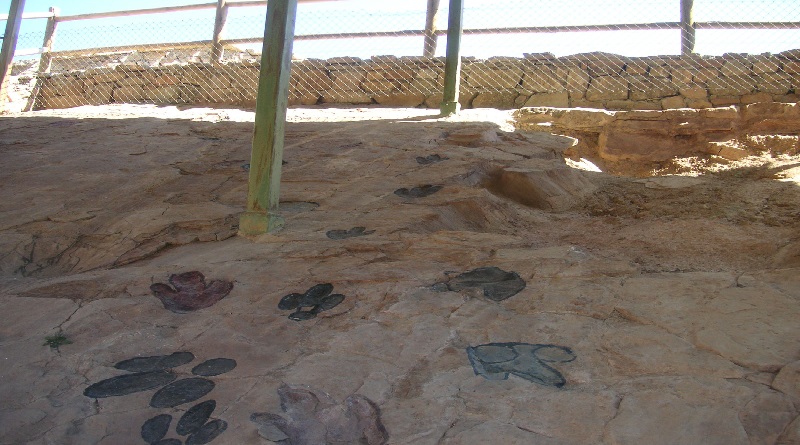 Estudio revela influencia del ambiente en el modo de caminar de los dinosaurios