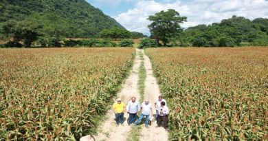 Finca El Altar posee la primera experiencia de Agrominería del país