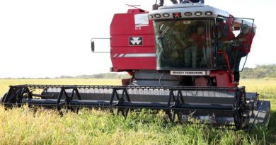 Guárico potencia productiva de la Zona Económica Agroalimentaria de Oriente