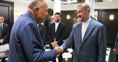 Irán y Egipto fortalecen relaciones para garantizar la estabilidad en la región